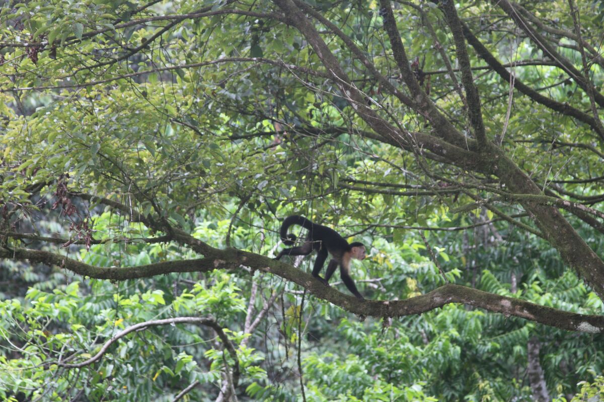 Intro Series: Part 4 - Back to Tech