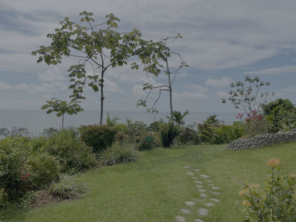 Contact uplevers.com