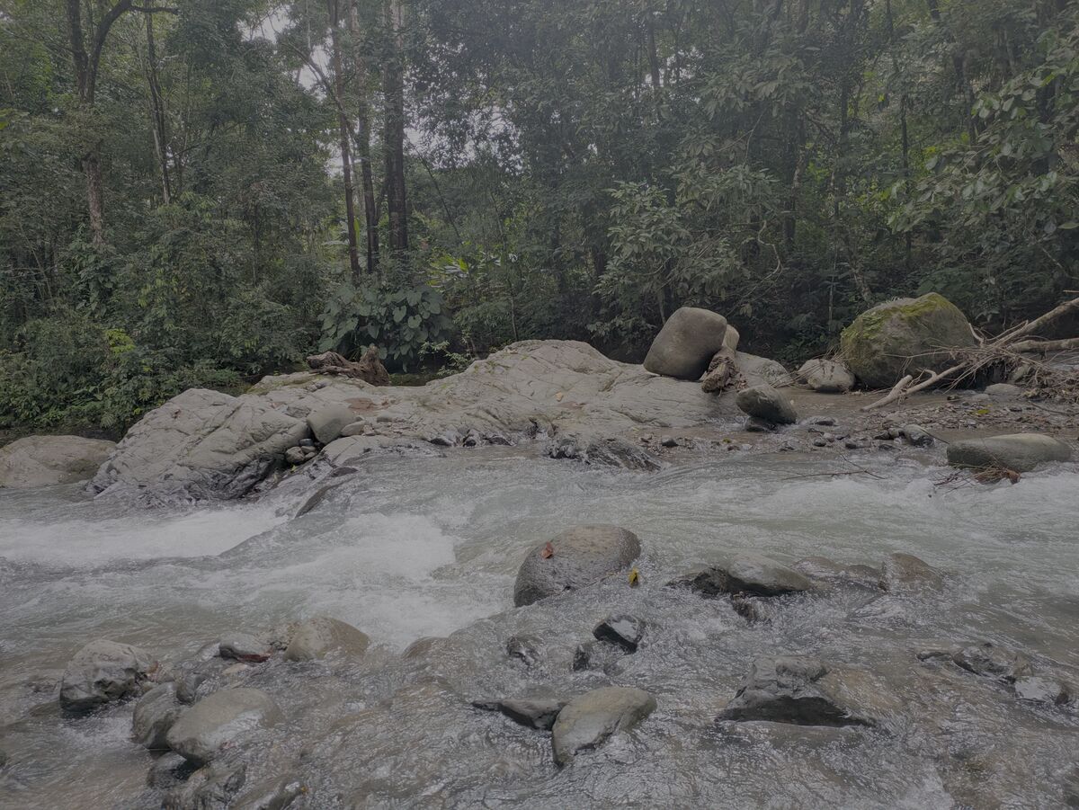 uplevers.com Business Operations