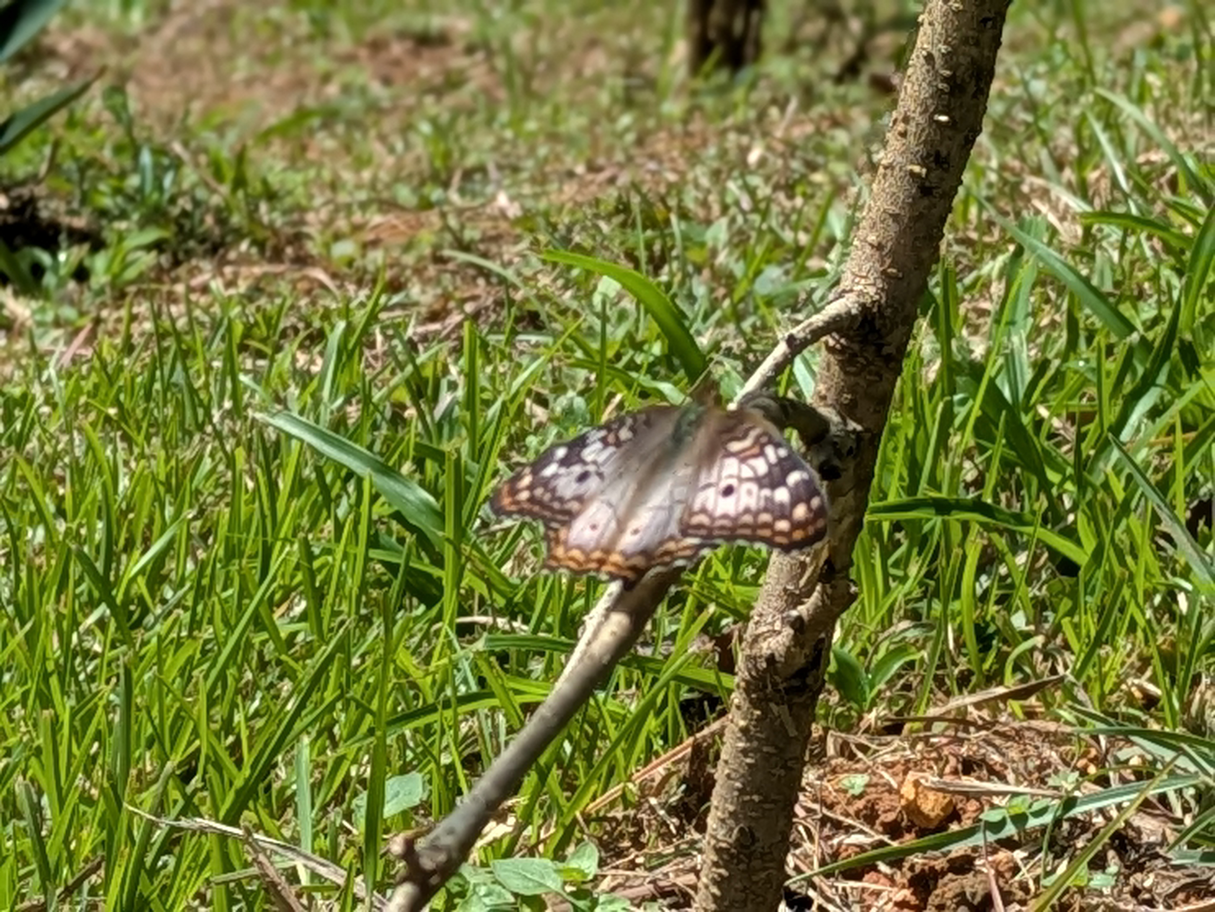 Intro Series: Part 3 - Anatomy