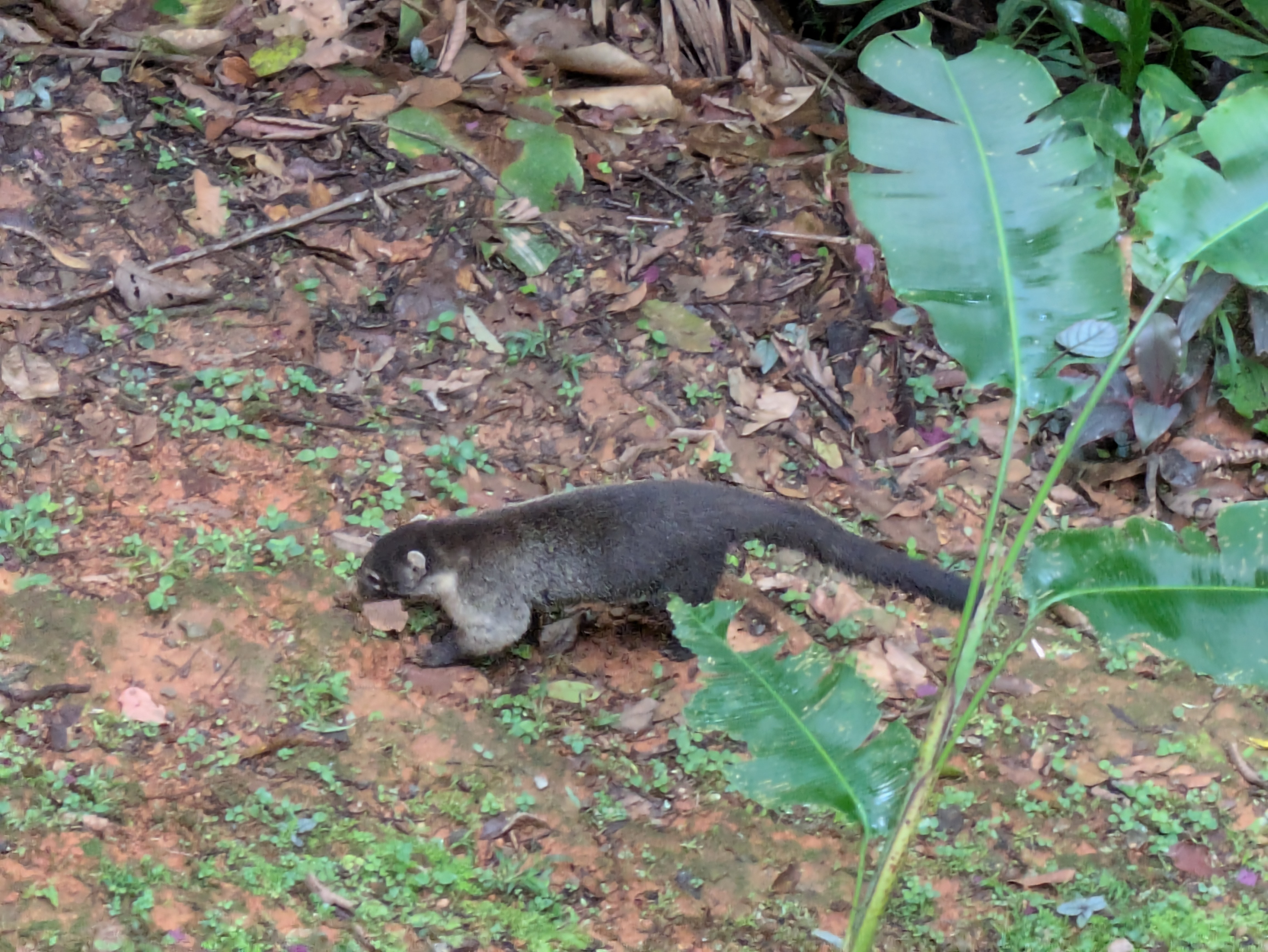 Intro Series: Part 6 - Technically Speaking