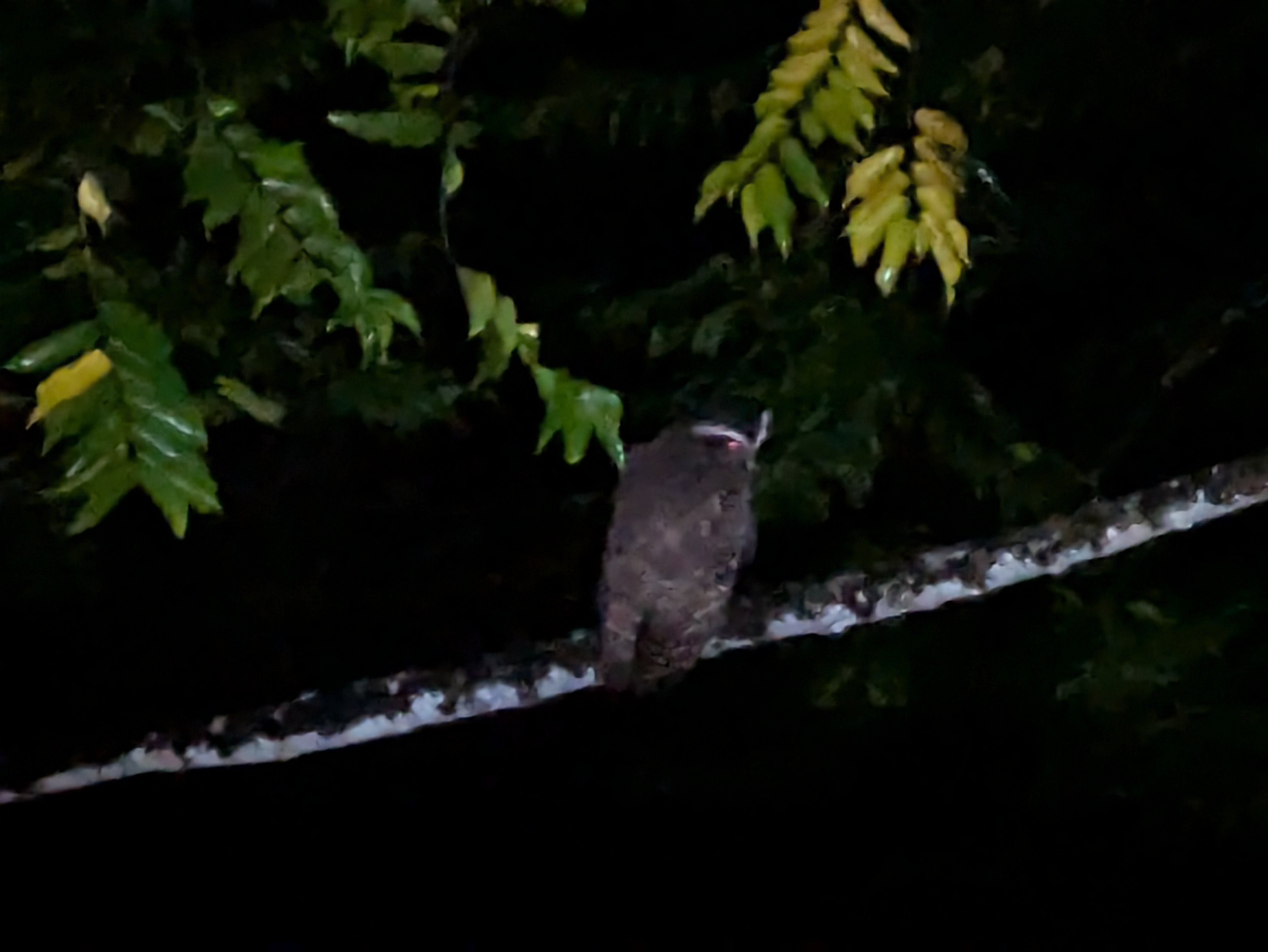 Beyond "I Have One": Some Business Websites Alienate and Exclude Their Best Customers