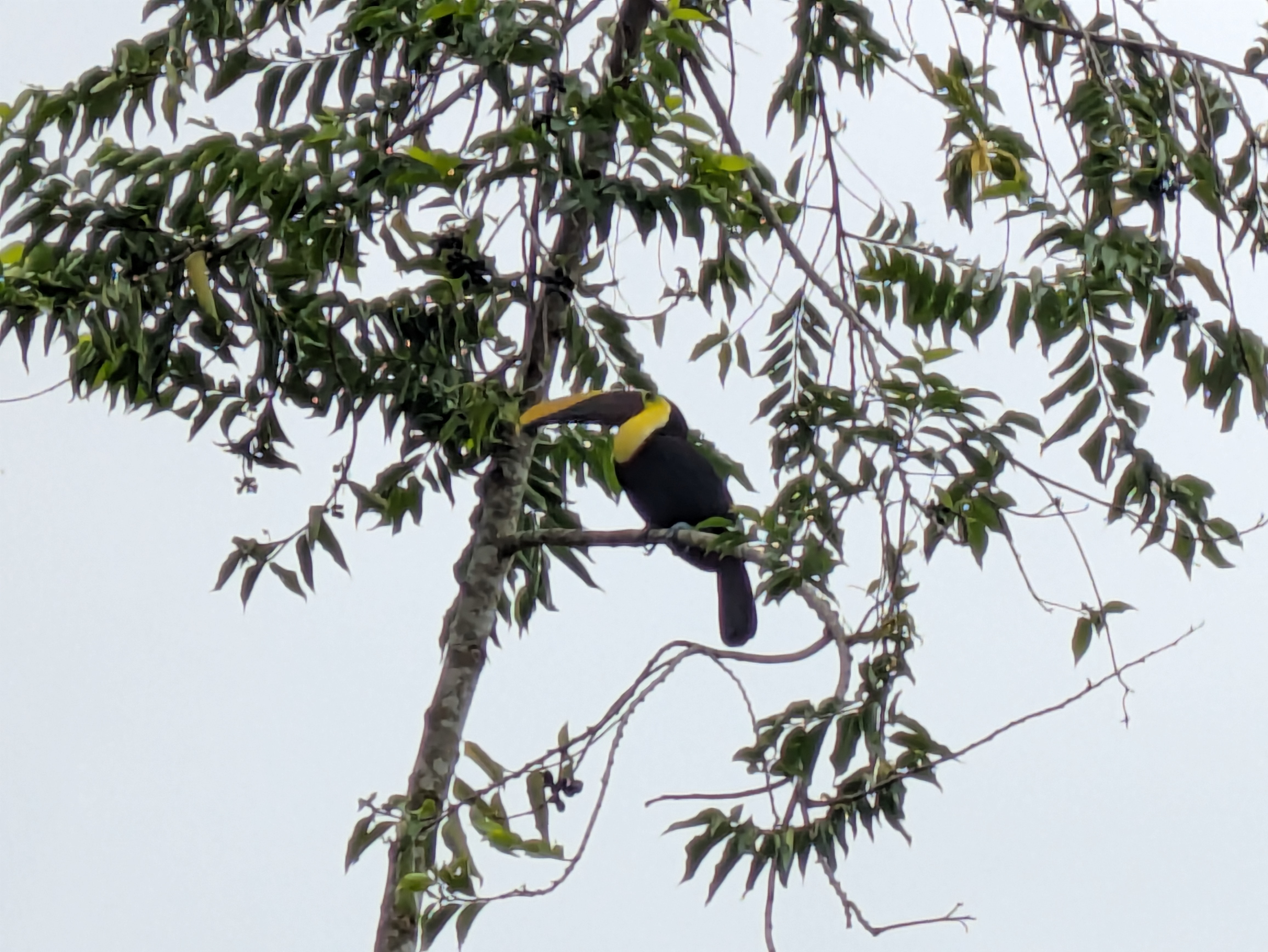 Intro Series: Part 5 - The Virtuous Cycle